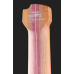 Cort Artisan Space 5 SDG