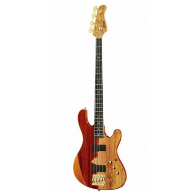 Cort Rithimic Jeff Berlin 4
