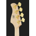 Cort Rithimic Jeff Berlin 4