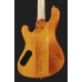 Cort Rithimic Jeff Berlin 4