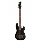 ESP LTD Surveyor-204DX BB