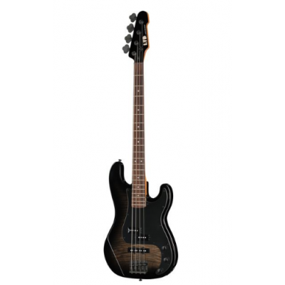ESP LTD Surveyor-204DX BB
