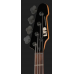 ESP LTD Surveyor-204DX BB