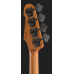 ESP LTD Surveyor-204DX BB