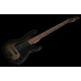 ESP LTD Surveyor-204DX BB
