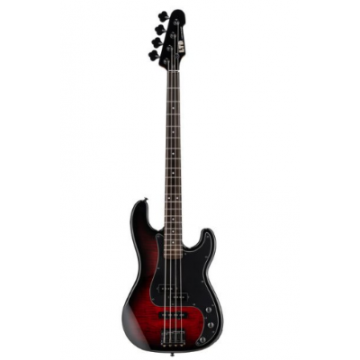 ESP LTD Surveyor-204DX RB