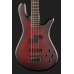 Spector NS Pulse II 4 Black Cherry