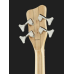 Warwick RB Corvette B 4 MedScale SBHP