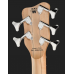 Warwick RockBass Infinity 5 VSTHP