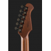 Harley Benton Guitar MAX Fusion Signature HO