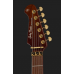 Harley Benton Guitar MAX Fusion Signature PF