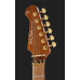 Harley Benton Guitar MAX Fusion Signature EF