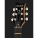 Harley Benton Agufish STD Signature BK