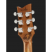 Harley Benton Agufish STD Signature BK