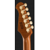 Harley Benton Fusion-IV HSS RW PM