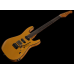 Harley Benton Fusion-IV HSS RW SGD
