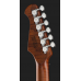 Harley Benton Fusion-IV HH RW QDG