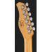 Larry Carlton T7 BK New Gen
