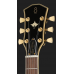 Larry Carlton L7 BK New Gen