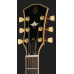 Larry Carlton L7 TS New Gen