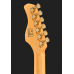 Larry Carlton S10 HSS Natural Burst