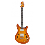 Larry Carlton Q7 Hollow Amber Burst
